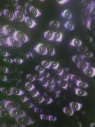 Glaza Glaza Eto Horosho Tak Vot Ya Eshyo Ne Rasskazyval Pro To Kak Mne Porekomendovali Bolshe Ne Zadrotit V Kompe V Grunge Aesthetic Aesthetic Pictures Grunge