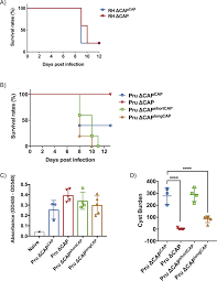 Differential Requirements For Cyclase Associated Protein