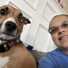 TOP 10 BEST Pet Sitters in Binghamton, NY