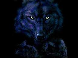 Lyrics For Little Red Riding Hood By Sam The Sham The Pharaohs Songfacts