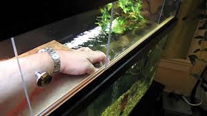 Even platforms that are natural or organic can alter the water. Above Tank Basking Area Details Liamlunchtray Thewikihow