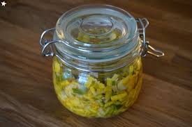 Epingle Sur Lacto Fermentation