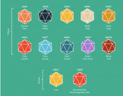 Image result for Blue 1996 AAV