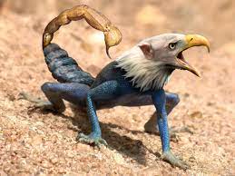 Scorplizeagle Photoshopped Animals Weird Looking Animals Animal Mashups