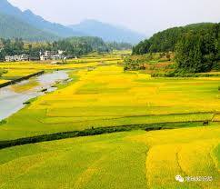 Cong ni de mingzi kaishi; 9fnty87tjolzvm