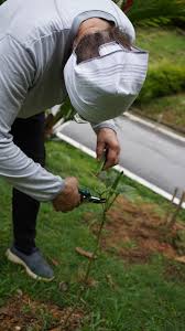 Makna 'sampah sarap' di kbbi (kamus besar bahasa indonesia). Anwar Ibrahim On Twitter Usai Sesi Facebook Live Petang Tadi Sempat Berkebun Seperti Kebiasaan Dan Menanam Pokok Sampah Sarap Yang Menghalang Laluan Air Eloklah Dibersihkan Sebelum Tersumbat Dan Mendatangkan Masalah Di Kemudian