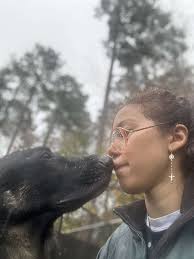 Pet sitter with experience available next week