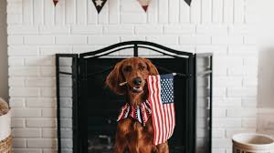 National say something nice day. Complete Guide To 2020 S Pet Holidays