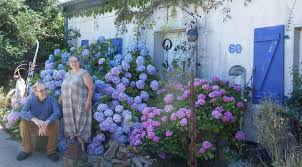 Tag der offenen gärten in nierswalde am 28.06.2020. Kempen Tonisvorst So Paradiesisch Ist Einer Der Schonsten Garten In Nrw