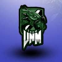 Don't waste money on an expensive logo designer when you. Team Vnm Looking For Clan