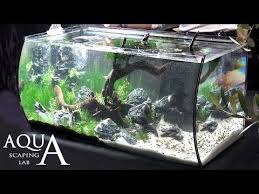 Setting aquascape low maintenance ukuran 60cm x 40cm x 40cm dengan menggunakan hardscape batu erangga, batu lava, dan kayu rasamala. Aquascape Ideas Setting Aquascape Natural