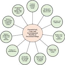 Many of our customers have been with us for years, and we pride ourselves on keeping our clients happy and protected. Does Occasional Tillage Undo The Ecosystem Services Gained With No Till A Review Sciencedirect