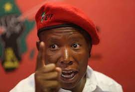 When a woman didn't enjoy it, she leaves early in the morning. In Quotes People Cannot Social Distance In Picket Lines Julius Malema