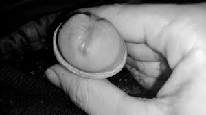 Крупный план грязного члена свиньи