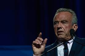 Vince Haley Archives • Florida Phoenix