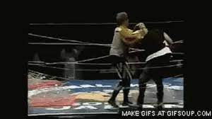 Watch the full video | create gif from this video. Top 30 Terry Funk Gifs Find The Best Gif On Gfycat