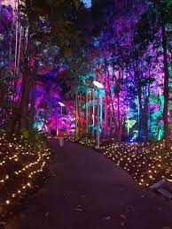 After Last Year S Success The Light Filled Enchanted Gardens Return To The Roma Street Parklands Through Enchanted Garden Public Garden Christmas In The City