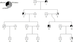 Simulating Pedigrees Ascertained For Multiple Disease