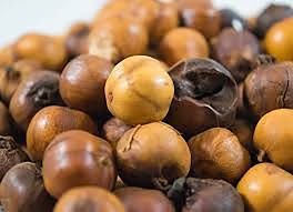 Image result for Afrostyrax