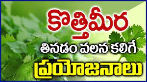 Health Benefits Of Coriander Ii Telugu Health Tips Ii Kothimeera Ii క త త మ ర ఉపయ గ ల Youtube