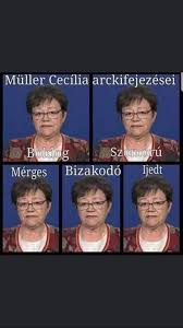 Check spelling or type a new query. Ezek Voltak Muller Cecilia Legutosebb Beszolasai Ez Egy Chopper Edes Funny Gif Humor Funny Pictures