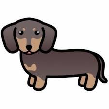 Hot dog dachshund puppy dachshund puppy in hot dog bun with mustard, funny cartoon drawing. Wiener Dog Clipart Cartoon Wiener Dog Cute Animals Dogs