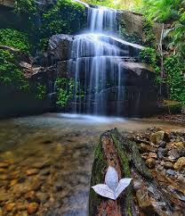 Hidden jewel in nothern malaysia! 20 Tempat Menarik Di Sungai Petani Jom Bercuti Ke Bandar Perindustrian Kedah