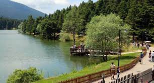 milli park nedir