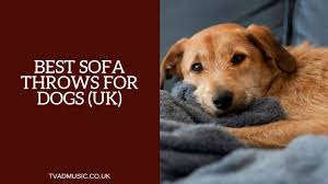 Each throw is a unique design with a fabulous blend of colors that would complement any home. Best Sofa Throws For Dogs Uk Top 10 Options