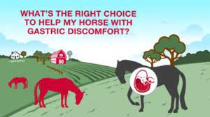 And the blogpaws® pet influencer network™. Purina Ultimate Gastric Care Athlete Horse Feed 50 Lb At Tractor Supply Co