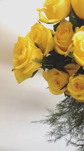 pin by malak on ro0ofa 0 snapchat beautiful flowers images yellow flowers flower pictures