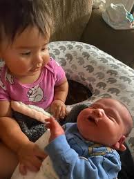 What tool makes a good alternative to the matco one?