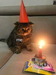 We hope you enjoy and. Sad Birthday Cat Meme Template