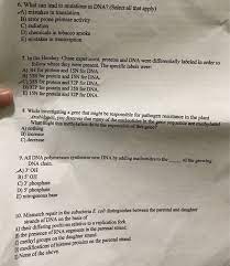 Mutations that involve changes in one or a few nucleotides occur at a single point in the dna sequence generally occur during replication. Solved 6 What Can Lead To Mutations In Dna Select All Chegg Com