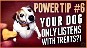 Ian dunbar and distributed with the permission of james and. Simpawtico Dog Training Home Simpawtico Dog Training