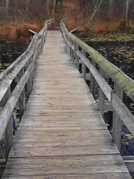 Sessions Woods Wildlife Management Area Trail Trail Wildlife Hiking