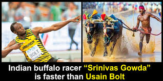 The buffaloes that vishwanath devadiga rode at the kantabareboodabare kambala race at aikala in dakshina kannada. Meet Srinivas Gowda Who Covers 100m Race In Just 9 55 Seconds Breaks Usain Bolt S 100 Meter World Record The Youth