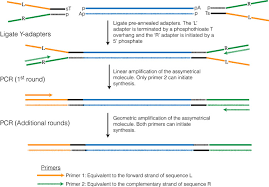 Each condition was done in triplicate, giving us a total of six samples we will be working with. Rna Seqlopedia