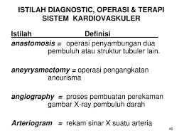 Latihan soal sistem kardiovaskuler jawablah pertanyaan berikut ini dengan benar a. Sistem Kardiovaskuler Cardiovascular System Ppt Download