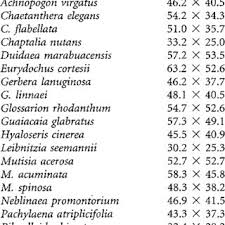 Image result for Pasaccardoa grantii