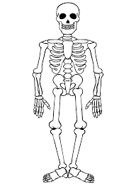 It will be depicted around it. Corpus On Twitter Skeleton Drawings Halloween Skeletons Skeleton Drawing Easy