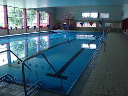 Mainzer Schwimmverein 1901 E V Der Verein