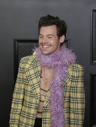 We don't know about you, but we have quite the ~high~ ourselves after harry styles' performance at the 2021 grammys. Ra3ejopba3xonm