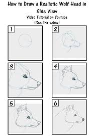 How To Draw A Realistic Wolf Side View Tutorial Wolf Side View Wolf Drawing Drawings
