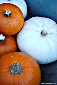 Target.com has been visited by 1m+ users in the past month 42 Types Of Pumpkins Plus A Hundred More Toot Sweet 4 Two