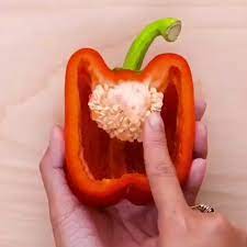 Memorizing Seed Starting Gardening Garden Diy Home Flowers Roses Nature Landscaping Horticultu Growing Green Peppers Growing Plants Growing Vegetables