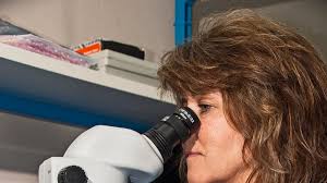 How an advisory board helps small Mesa manufacturer quintuple sales by 2019 