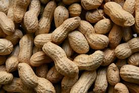Kacang tanah memang menjadi komoditas yang tidak boleh dipandang sebelah mata ya lur, jika hasilnya maksimal, tentu kualitas kacang tanah bagus dan. Kacang Tanah Kacangan Foto Gratis Di Pixabay