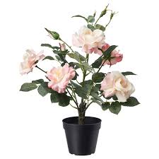 Fejka Pianta Artificiale Con Vaso Da Interno Esterno Rosa Rosa 12 Cm Ikea It