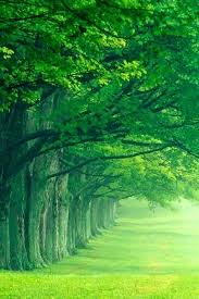 If you see some 3d hd nature images free download you'd like to use, just click on the image to download to your desktop or mobile devices. Best Nature Hd For Mobile Free Download Wallpapers Nature Hd For Mobile Free Download Wallpapers Free Download Wallpaperkiss 1